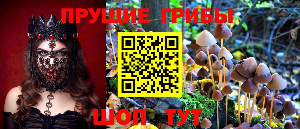 Галлюциногенные грибы мицелий Свободный