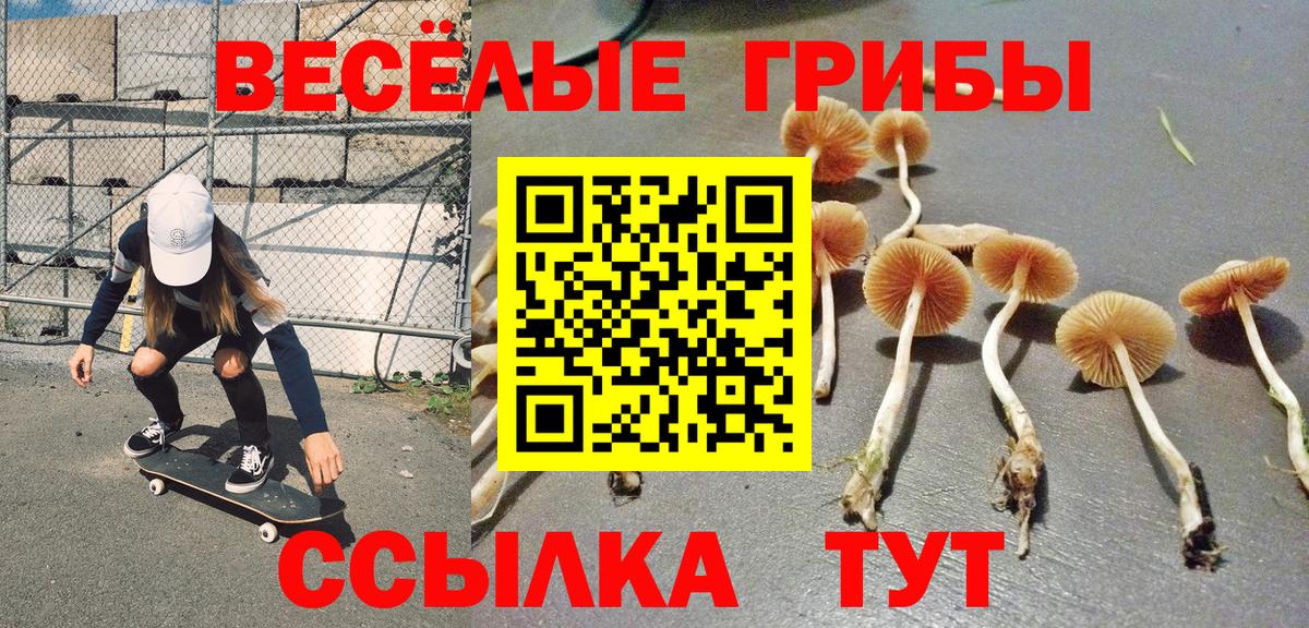 хочу наркоту  Галлюциногенные грибы прущие грибы  Вход с VPN  Галлюциногенные грибы Psilocybe  Свободный 